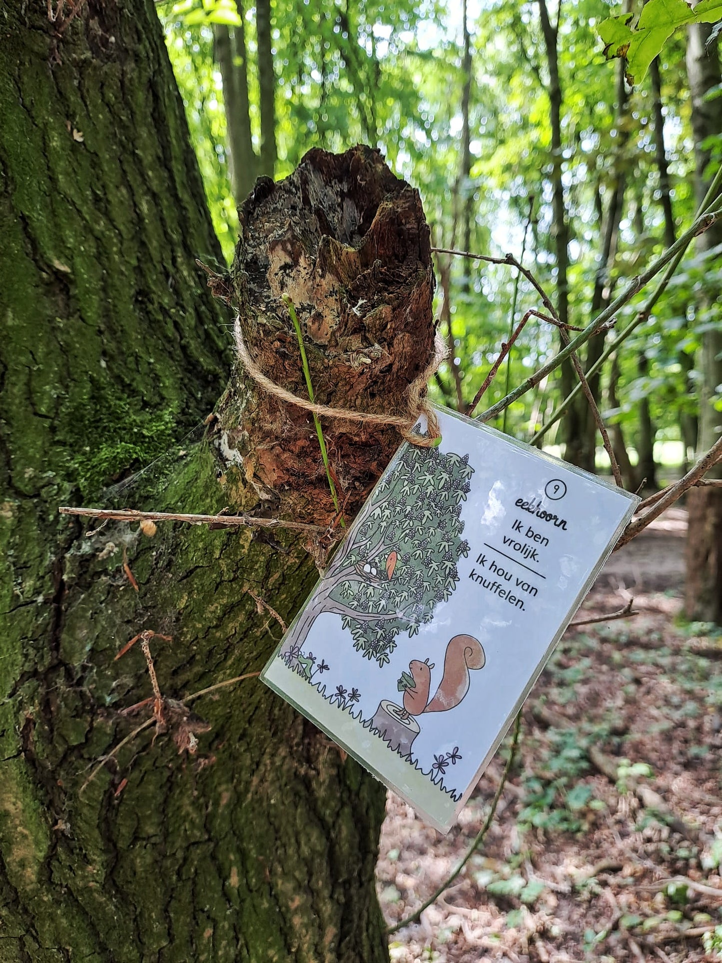 De Durf Dieren Speurtocht